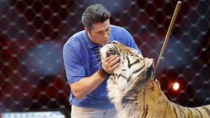 What Life Is Like for This Family Circus of Lion and Tiger Trainers