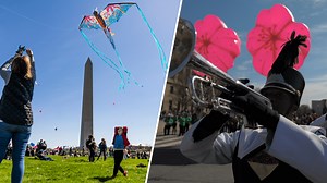 Cherry Blossom Festival 2025 key dates: 13 can't-miss events and when to expect peak bloom