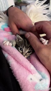 2.4M views · 315K reactions | Last night was really hard.  I'm...