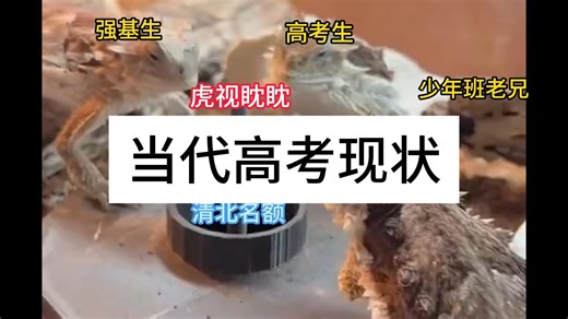 当代高考现状，实在是卷不动了 我去学竞赛吧 竞赛天赋测试，看你到底适合学哪科→https://jsj.top/f/iuC6ze?x_field_1=155