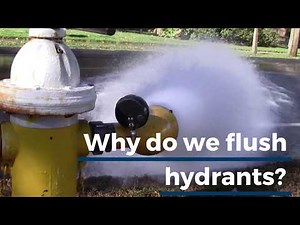 Why Do We Need To Flush Hydrants?