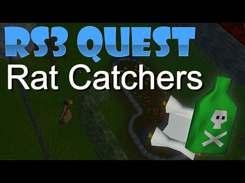 RS3 Quest - Rat Catchers