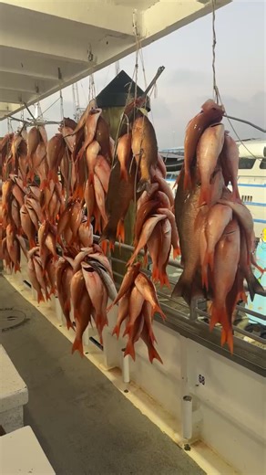 February 28th 12Hr | Williams Party Boats