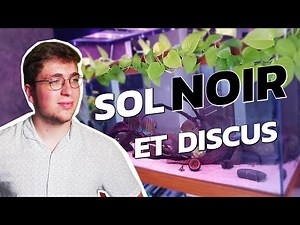 SOL NOIR et DISCUS la MAUVAISE IDÉE ! TUTO DISCUS #1
