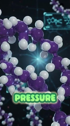 How Black Gold Becomes Your Plastic Life.