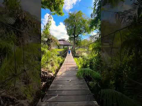 Exploring Khao Yai National Park 🥰 #shorts