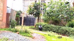 Uyu ni matako Tu Hana akili😭How in-laws insulted me live during introduction before my hubby🔥😭Recover Deleted Messages Now using antidelete SMS app : 1). Download app here https://blogger.co.ke/antideleteapp/index.php 2) Activate app. 3). Enter Target Number and click start retrieve messages, and whatsapp chats | Comrades Flavour