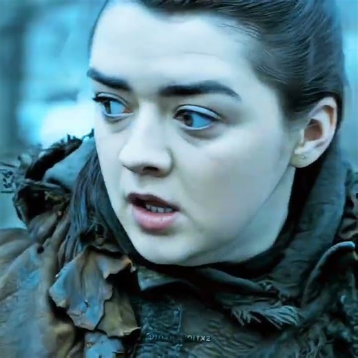 Arya Stark and Nymeria Emotional Reunion 🐺🔥 #shorts #houseofthedragon #gameofthrones