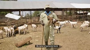 Training | Ham Animals Breeding Farm