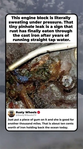 RUSTY ENGINE BLOCK LEAK