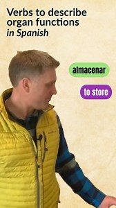 These are some of the main verbs we use when talking about the human body organ functions in Spanish🧠🫁🫀 | Common Ground International