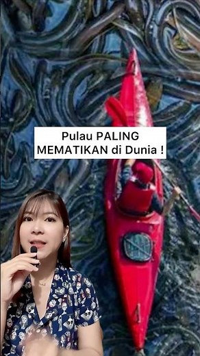 THE MOST DEADLY ISLAND IN THE WORLD! Snake Island in Brazil😱 #facts #snake #island #brazil