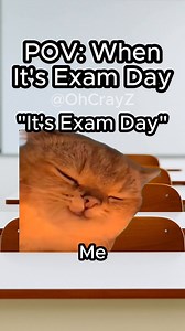 512K views · 15K reactions | I love exam days!  #relatable #cat #funny #school #reelschallenge | CrayZ | Facebook