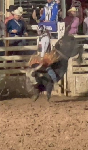 88-Point Bull Ride Victory at Pioneer Rodeo in Colorado Springs 🤠🔥