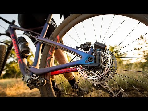 Meet the New Specialized Brain