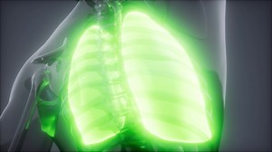 Human Lungs Radiology Exam