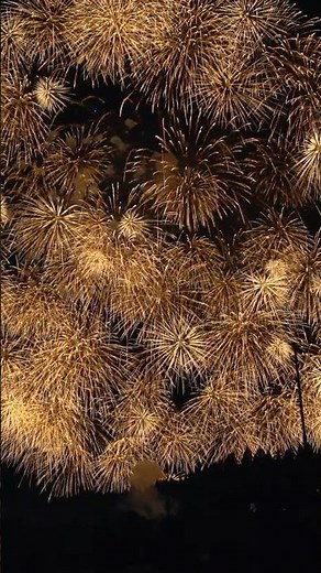 World's Largest Aerial 48 inch Fireworks shell in Japan Katakai #shorts