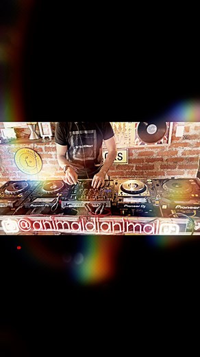 Animal DJ on Reels