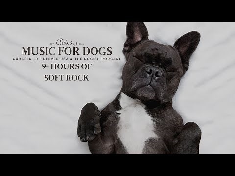 Soft Rock Dog Music : The Science To Make Them Happy : 9+ Hours Of Calming Music