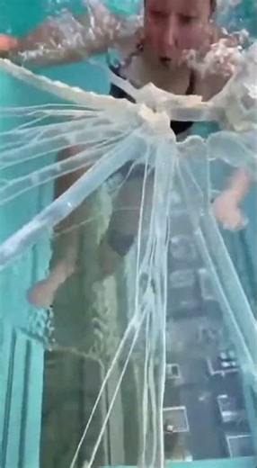 swimming pool breaks