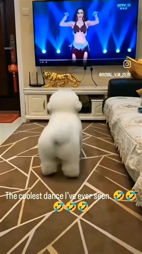 cartoon dance part 2 billi ka dance #tag #newsong #newsong #funny #thingsiwantedtosay #whatssofunny