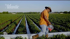 How southern black farmers were forced from their land, and their heritage