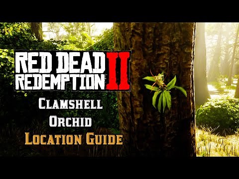 Clamshell Orchid - Location Guide | Red Dead Redemption 2