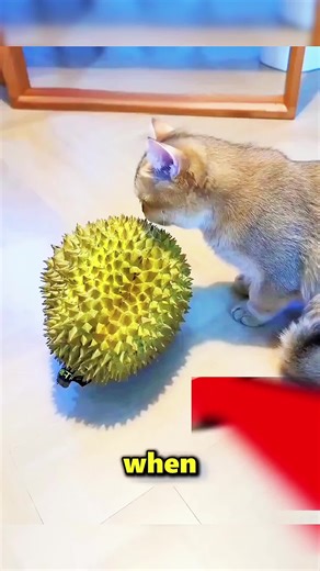 #watchuntiltheend #waitforit #dontscrollaway #keepwatching #storytime