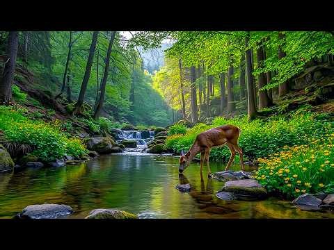 Restore your nervous system 🌿 Stop overthinking and relax your mind