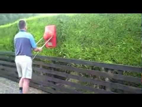 crazy funny gardeners