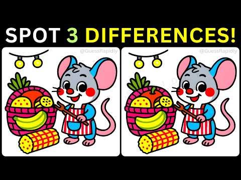 ⏳Find 3 Hidden Differences, Challenge Your Observation Skills!✨【#511 Brain Game Challenge】