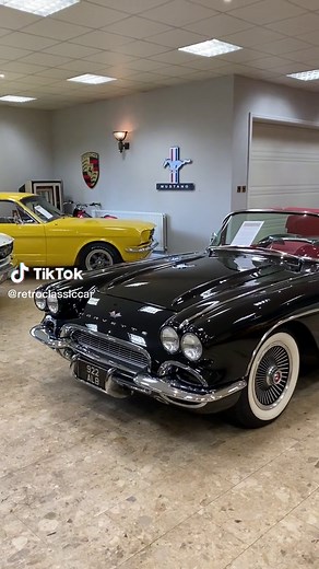Vintage Corvette C1 Showroom Showcase