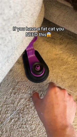 9.9K views · 4.2K reactions | Comment “FELOCITY” and I’ll send you...