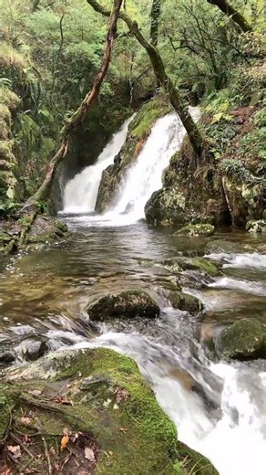 Peaceful Piano & Nature Ambience for Deep Relaxation #shorts