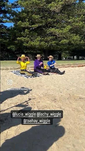 The Wiggles Having Fun At The Beach #thewiggles