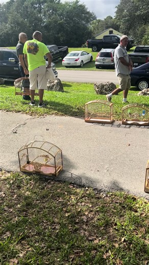 #canarioscantando#parquesw#canary#entertainment