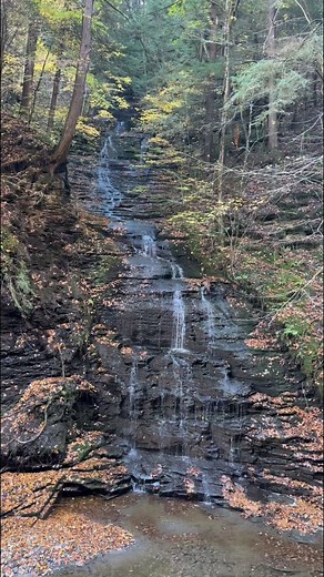 A Finger Lakes Fall: Peace and solitude in the gorge at Fillmore Glen in Moravia, NY. #Fall #autumn #waterfall | John Kucko Digital