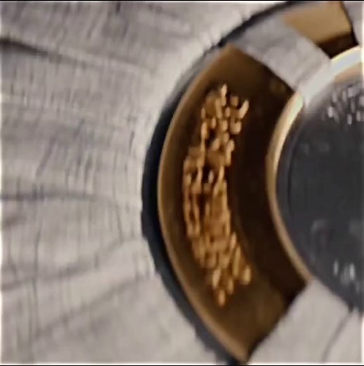 Jake Lockley New Suit 🤩