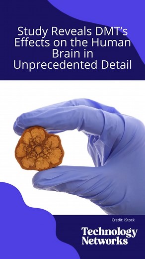 Let's look back at some of the top science stories from this week 🍄 Links in the comments! | The Science Explorer