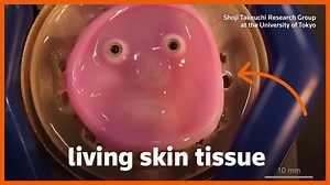 Say cheese: Japanese scientists make robot face 'smile' with living skin
