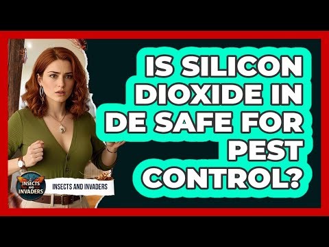 Is Silicon Dioxide In DE Safe For Pest Control? - Insects and Invaders