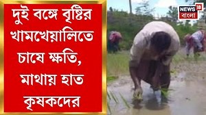67K views · 781 reactions | Farming Problem : দুই বঙ্গে দুই ছবি! বৃষ্টির খামখেয়ালিতে চাষে ক্ষতি, মাথায় হাত কৃষকদের #flooding #News18Bangla #HeavyRain #farming | News18 Bangla | Facebook