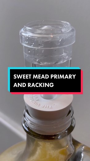 Mead making continued… #homebrew #homebrewing #easydrinkrecipe #drinks #makedrinks #yeast #honeywine #wildflowerhoney #bees #savethebees #sweetdrink #f#fypw#winetokw#winew#wineloversd#drinkrecipeh#hardciderm#meadh#homemadewinew#winemakingw#winemakerw#whitewiner#redwinef#fruitwinew#winerecipesw#winecocktailsm#meadmakingd#datenightm#meadtokm#makemeadm#makewined#datenightideash#honeywinef#fermentf#fermentingf#fermentationh#happyhourc#cheersd#drinkrecipesd#drinksE#EasyRecipesr#recipesh#honeycooking