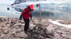 22K views · 154 shares | What does a penguin do when no one's looking? Oxford's Zoology Department set out to find exactly that - by setting up remote cameras across the Antarctic they are finding more out about the penguins' habits and habitats, and on a scale never attempted before. | University of Oxford | Facebook