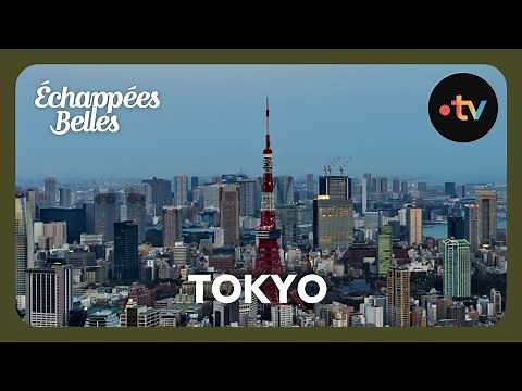 Japan: Tokyo, an energetic and dynamic city both day and night