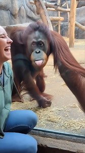 678K views · 8.3K reactions | Jealous Chimp Moment   This video was produced by Network Media and Aoos Media | Simulated Reality | Facebook