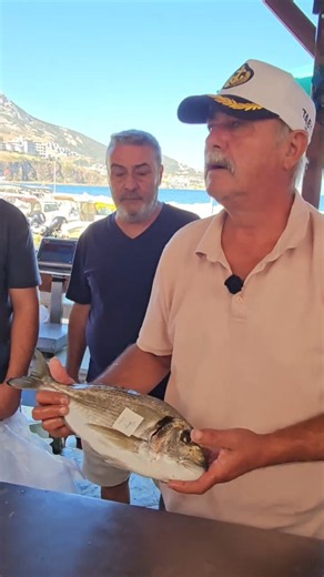 1 KG TEK ÇİPURANIN SATIŞ FİYATI NEFES KESTİ? #fish #Fishing#balıkmezatı#balıkavları#