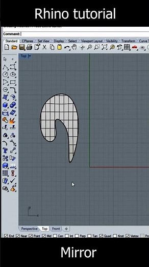 Rhino 3d/mirror #tutorial #3d #model #rhino #rhinoceros #modeling #scratch #3dsoftware