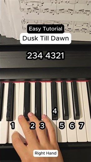Dusk Till Dawn Piano Tutorial #pianotutorial #piano #dusktilldawn