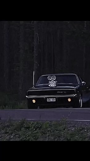 "There's nothing quite like the feeling of a muscle car accelerating on the open road." | Car Dudes